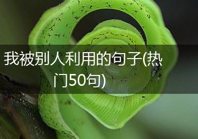 我被别人利用的句子(热门50句)
