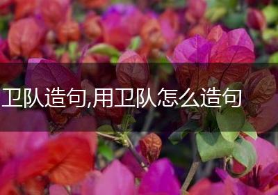 卫队造句,用卫队怎么造句