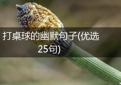 打桌球的幽默句子(优选25句)