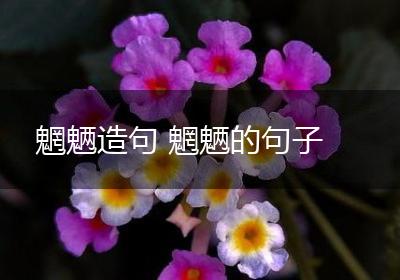 魍魉造句 魍魉的句子