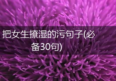 把女生撩湿的污句子(必备30句)