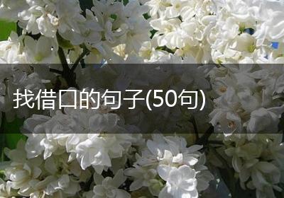 找借口的句子(50句)