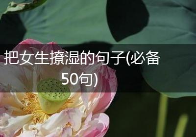 把女生撩湿的句子(必备50句)