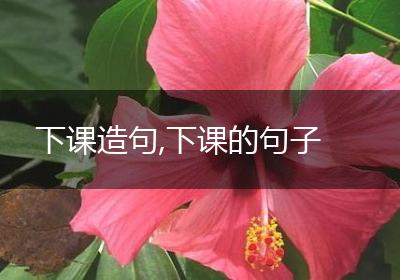 下课造句,下课的句子