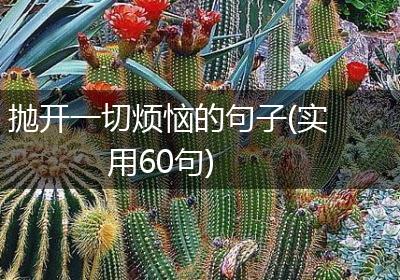抛开一切烦恼的句子(实用60句)