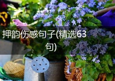 押韵伤感句子(精选63句)