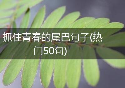 抓住青春的尾巴句子(热门50句)