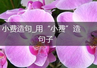 小费造句_用“小费”造句子