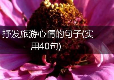 抒发旅游心情的句子(实用40句)