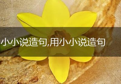 小小说造句,用小小说造句