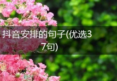 抖音安排的句子(优选37句)