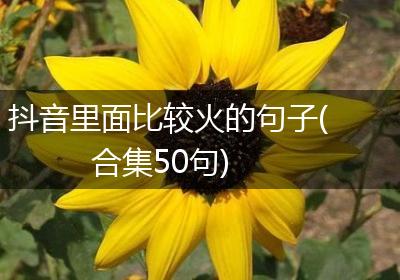 抖音里面比较火的句子(合集50句)