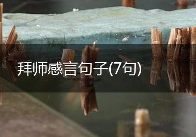 拜师感言句子(7句)