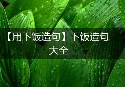 【用下饭造句】下饭造句大全