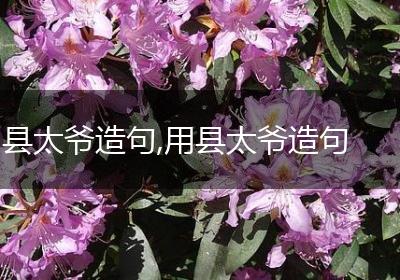 县太爷造句,用县太爷造句