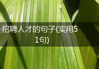 招聘人才的句子(实用51句)
