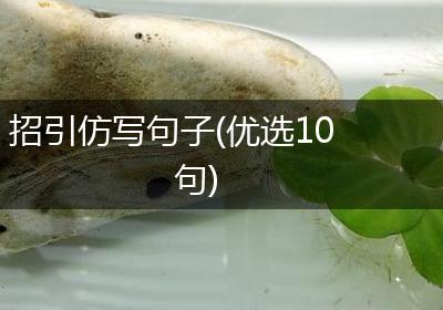 招引仿写句子(优选10句)