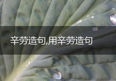 辛劳造句,用辛劳造句