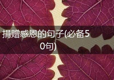捐赠感恩的句子(必备50句)