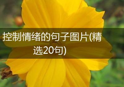 控制情绪的句子图片(精选20句)