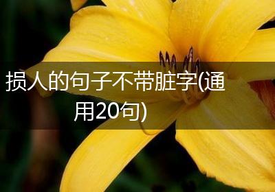 损人的句子不带脏字(通用20句)