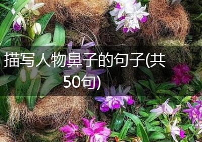描写人物鼻子的句子(共50句)