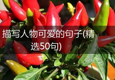 描写人物可爱的句子(精选50句)