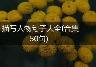 描写人物句子大全(合集50句)