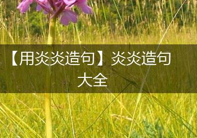 【用炎炎造句】炎炎造句大全