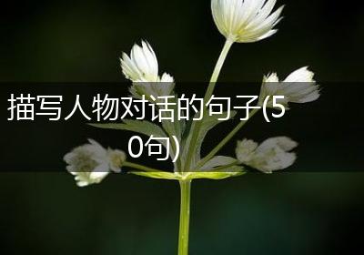 描写人物对话的句子(50句)