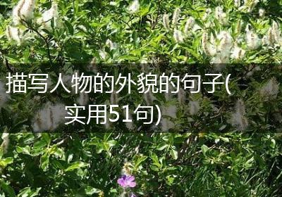 描写人物的外貌的句子(实用51句)