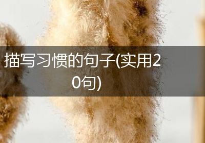 描写习惯的句子(实用20句)