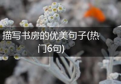 描写书房的优美句子(热门6句)