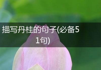 描写丹桂的句子(必备51句)