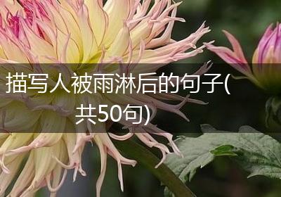 描写人被雨淋后的句子(共50句)