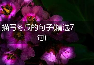 描写冬瓜的句子(精选7句)