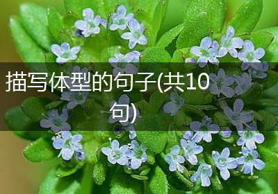 描写体型的句子(共10句)