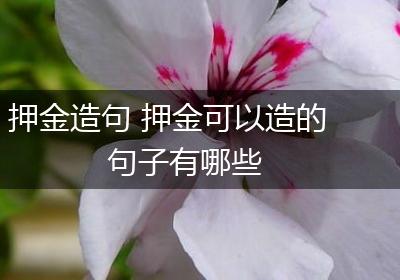 押金造句 押金可以造的句子有哪些