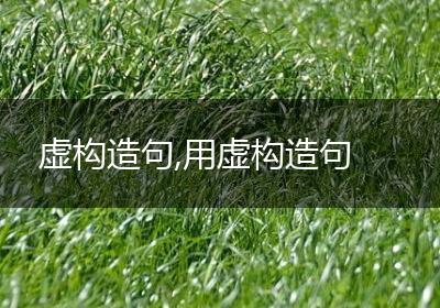 虚构造句,用虚构造句