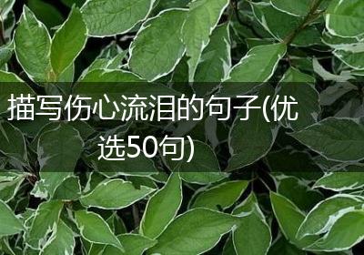 描写伤心流泪的句子(优选50句)