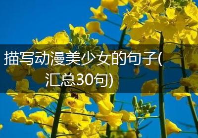 描写动漫美少女的句子(汇总30句)