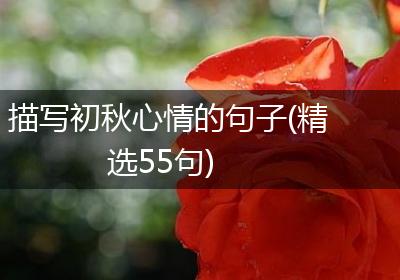 描写初秋心情的句子(精选55句)