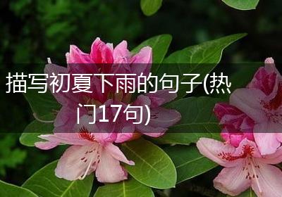 描写初夏下雨的句子(热门17句)