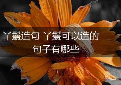 丫鬟造句 丫鬟可以造的句子有哪些