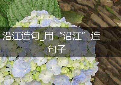沿江造句_用“沿江”造句子