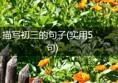 描写初三的句子(实用5句)