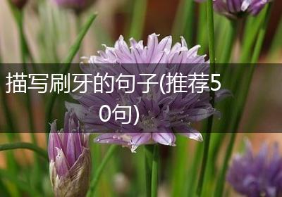描写刷牙的句子(推荐50句)
