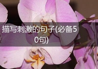 描写刺激的句子(必备50句)