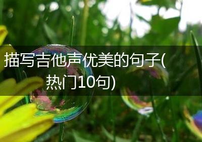 描写吉他声优美的句子(热门10句)
