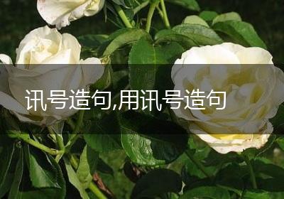 讯号造句,用讯号造句